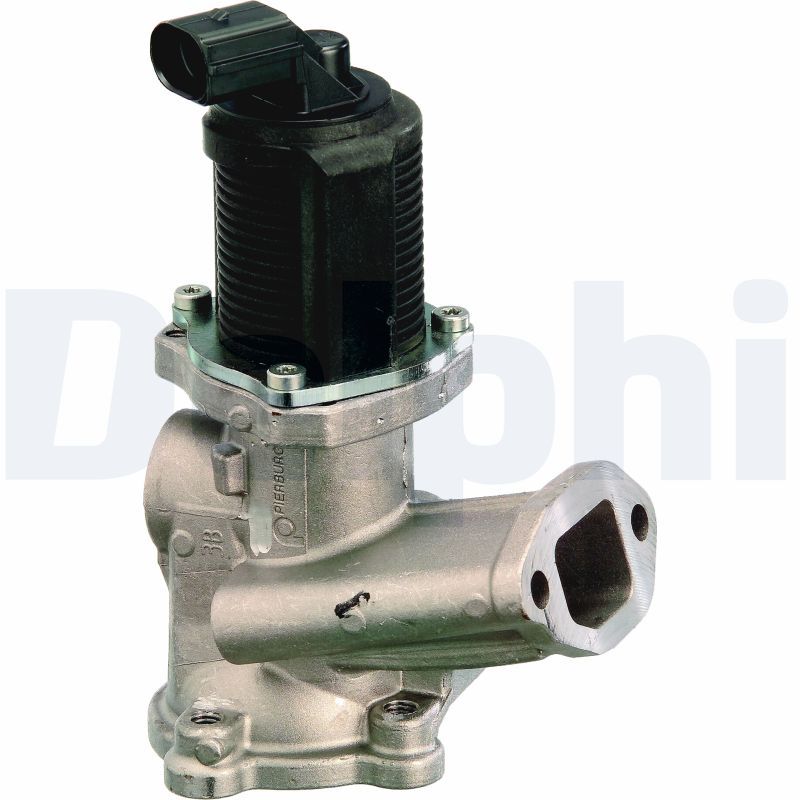 DELPHI EG10257-12B1 EGR Valve