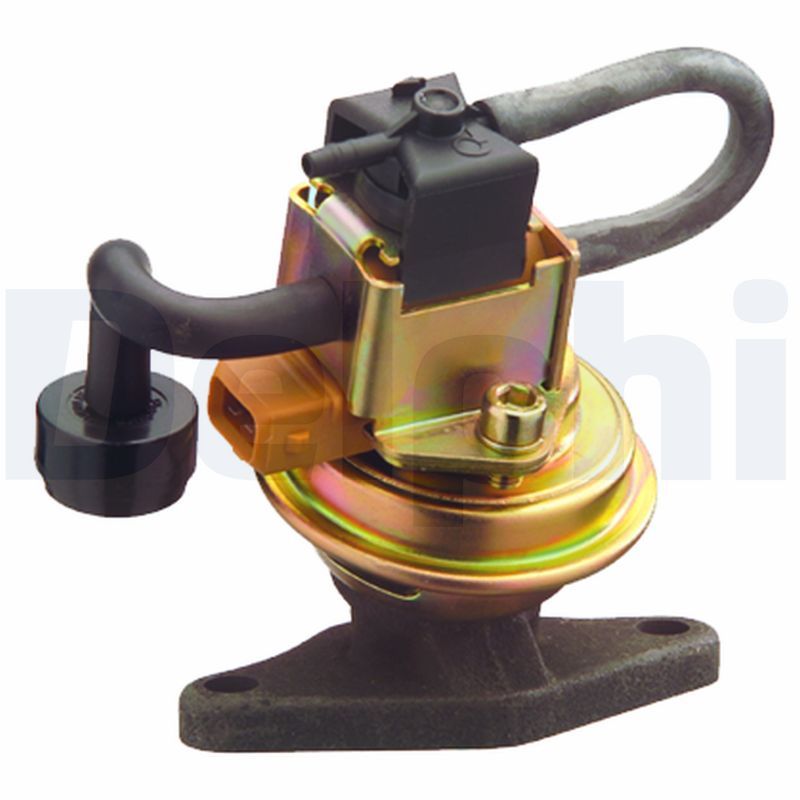 DELPHI EG10276-12B1 EGR Valve
