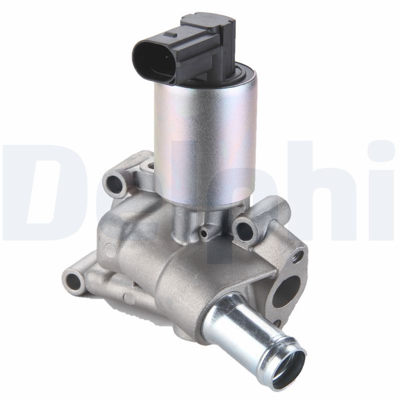 DELPHI EG10289-12B1 EGR Valve
