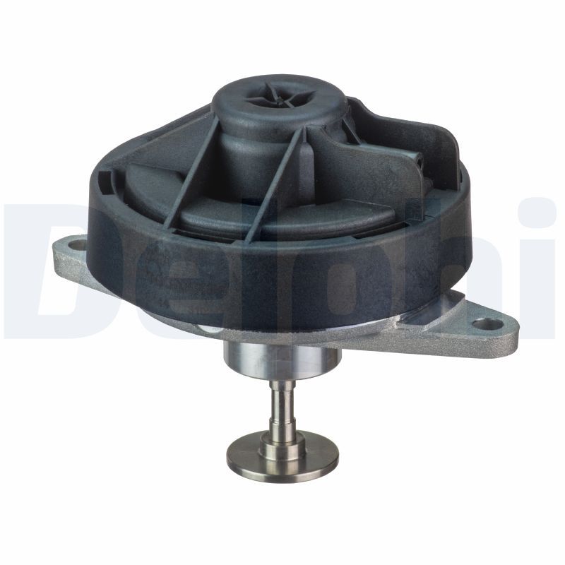 DELPHI EG10444-12B1 EGR Valve