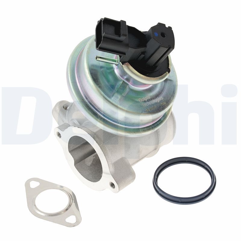 DELPHI EG10449-12B1 EGR Valve