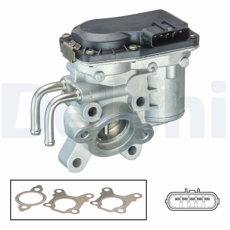 DELPHI EG10537-12B1 EGR Valve