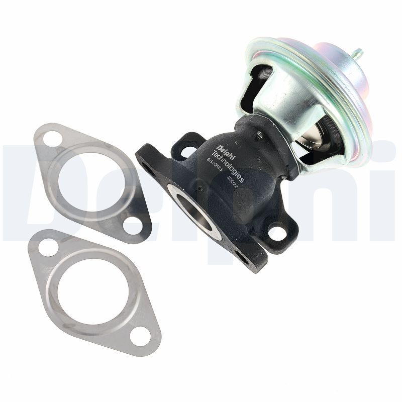 DELPHI EG10623-12B1 EGR Valve