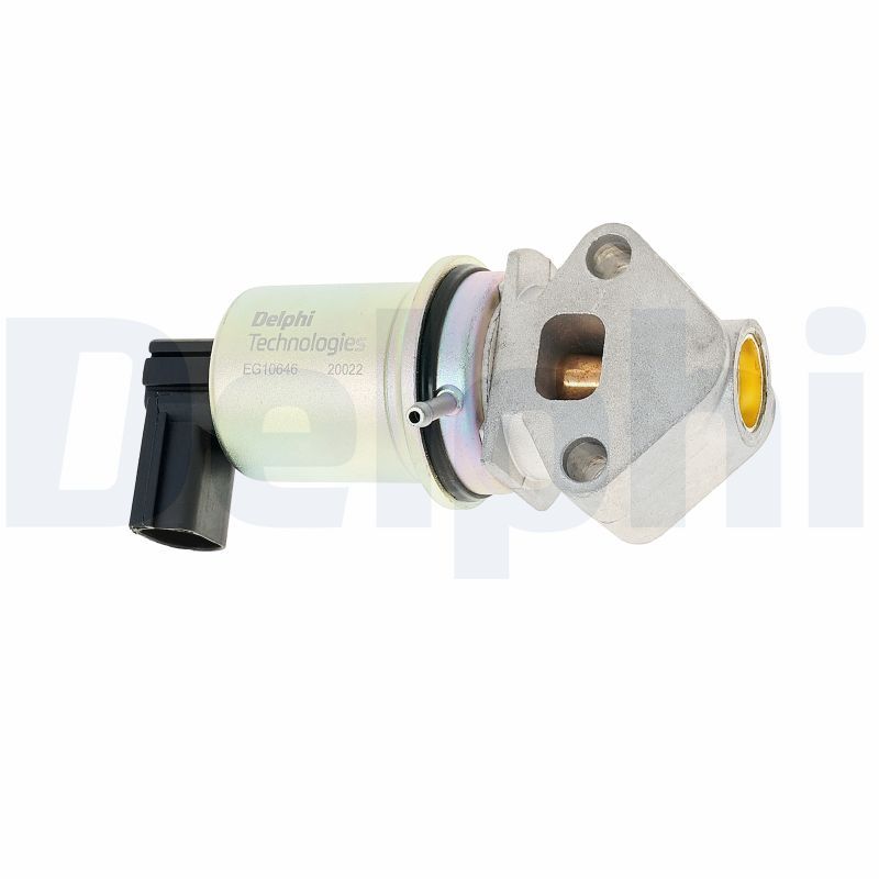 DELPHI EG10646-12B1 EGR Valve