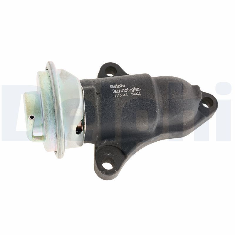 DELPHI EG10648-12B1 EGR Valve