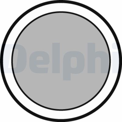 Brake Pad Set, disc parking brake DELPHI LP347