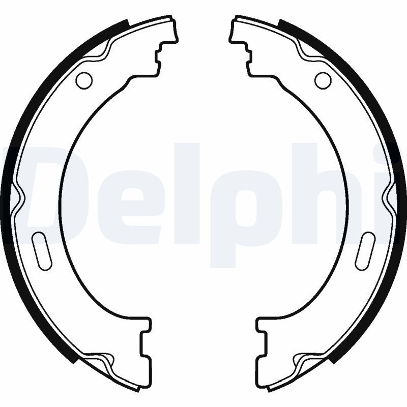 DELPHI LS2041 Brake Shoe Set, parking brake