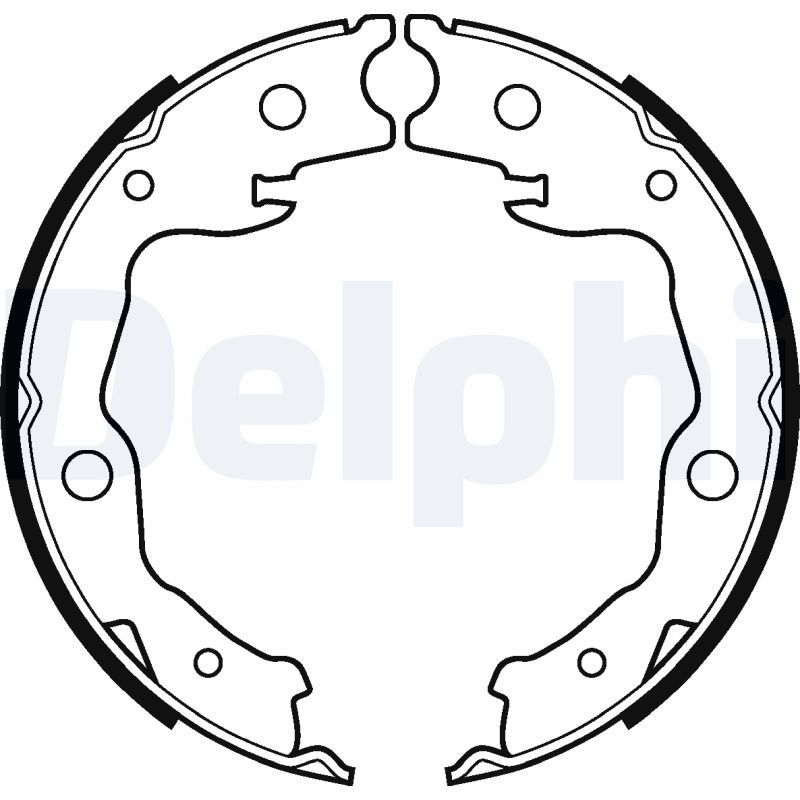 DELPHI LS2116 Brake Shoe Set, parking brake