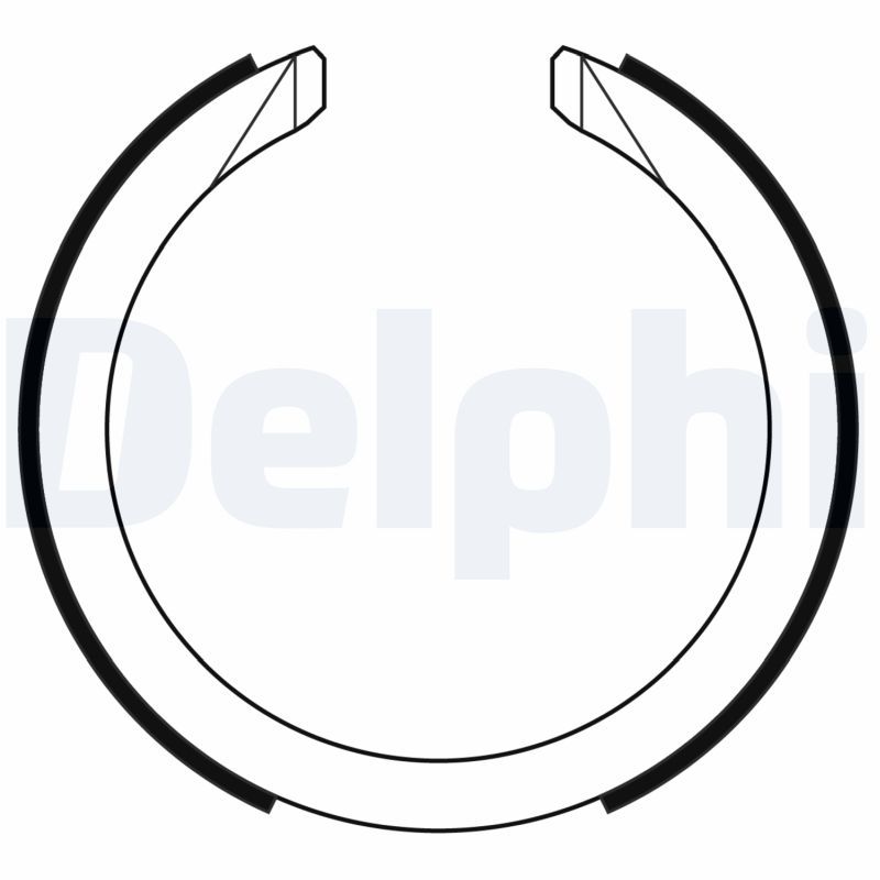 DELPHI LS2169 Brake Shoe Set, parking brake