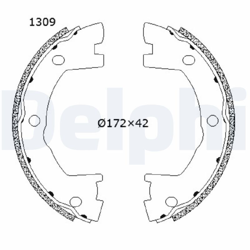 DELPHI LS2202 Brake Shoe Set, parking brake