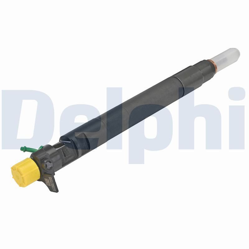 DELPHI R00101DP-12B1 Injector