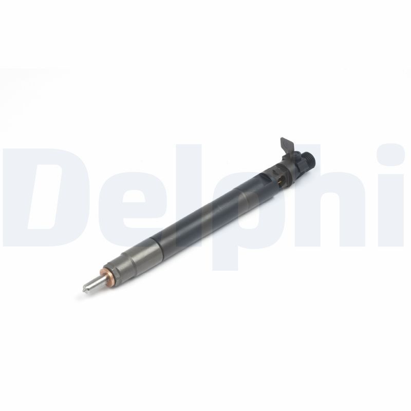 DELPHI R00101DP Injector