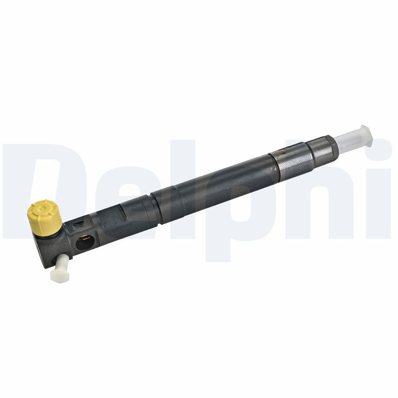 DELPHI R00301D-12B1 Injector