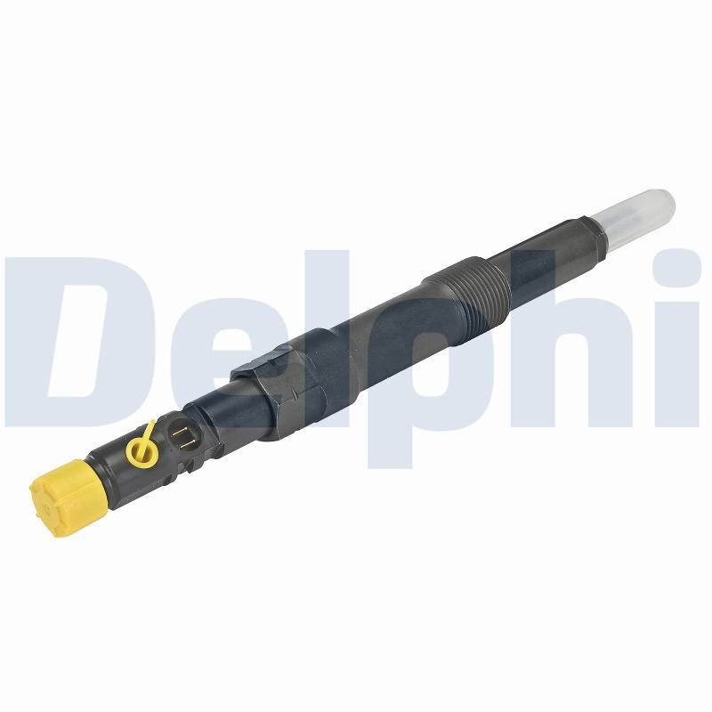 DELPHI R00501Z-12B1 Injector