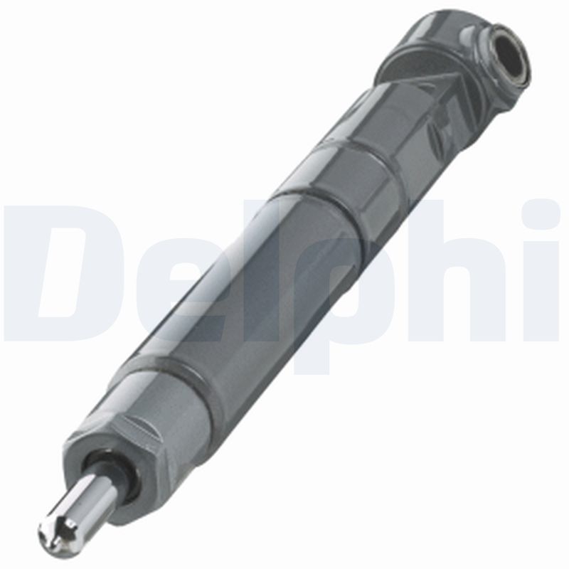 DELPHI R00502Z Injector