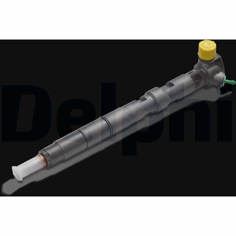 DELPHI R01001A-12B1 Injector