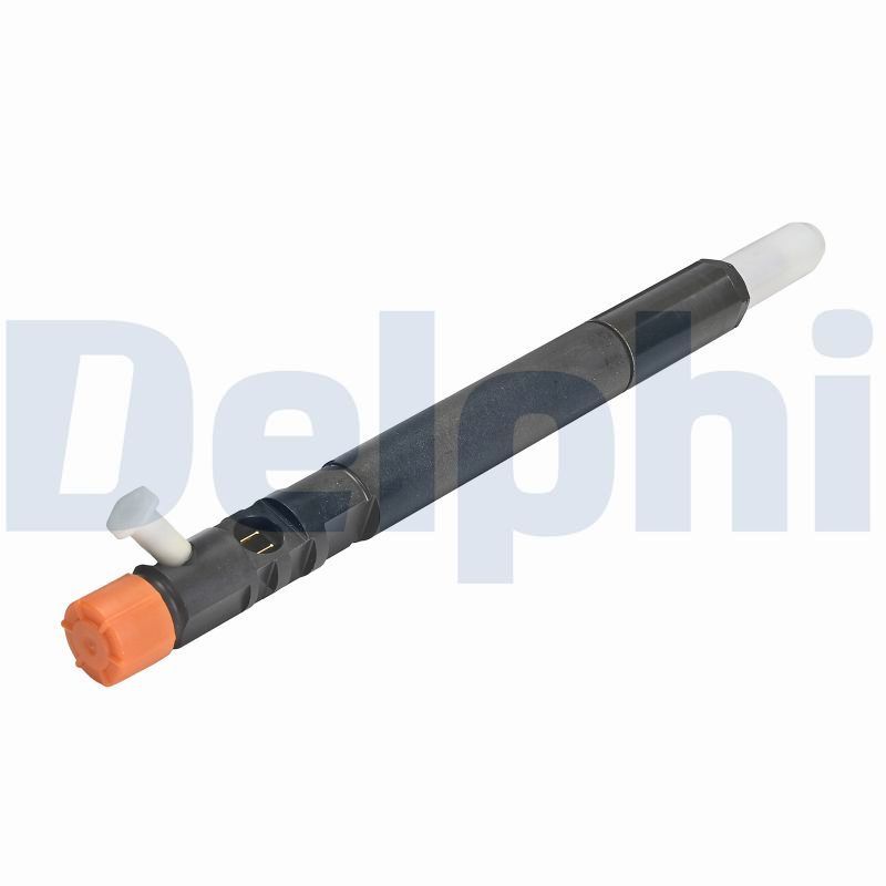 DELPHI R04501D-12B1 Injector
