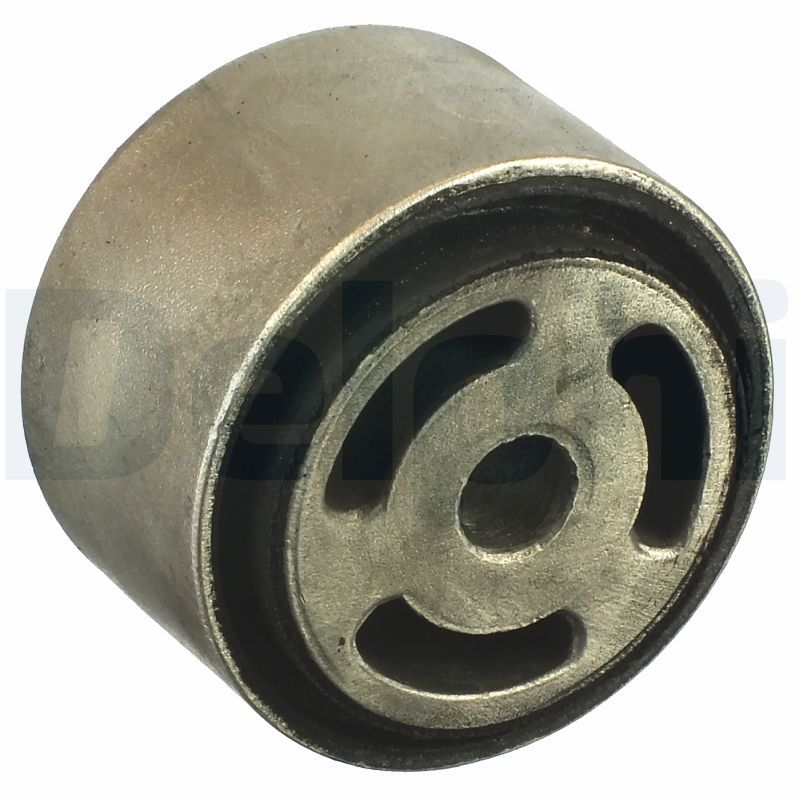 DELPHI TD1010W Bushing, axle beam
