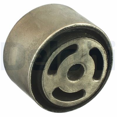 Bushing, axle beam DELPHI TD1010W