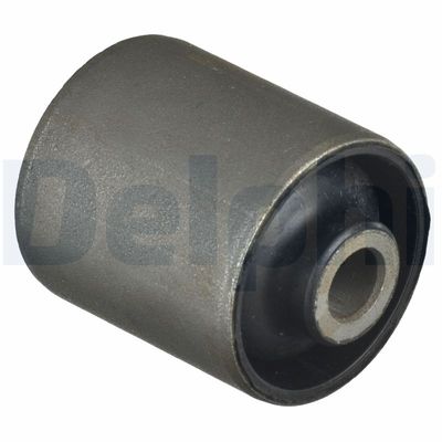 Bushing, axle beam DELPHI TD1126W