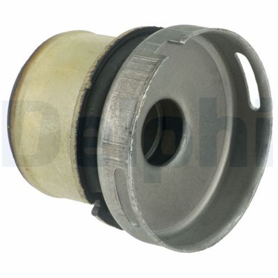 Bushing, axle beam DELPHI TD1257W