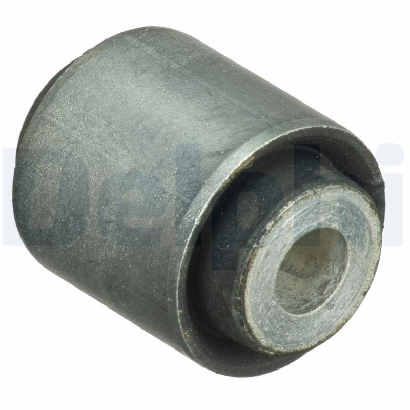 DELPHI TD1689W Mounting, control/trailing arm