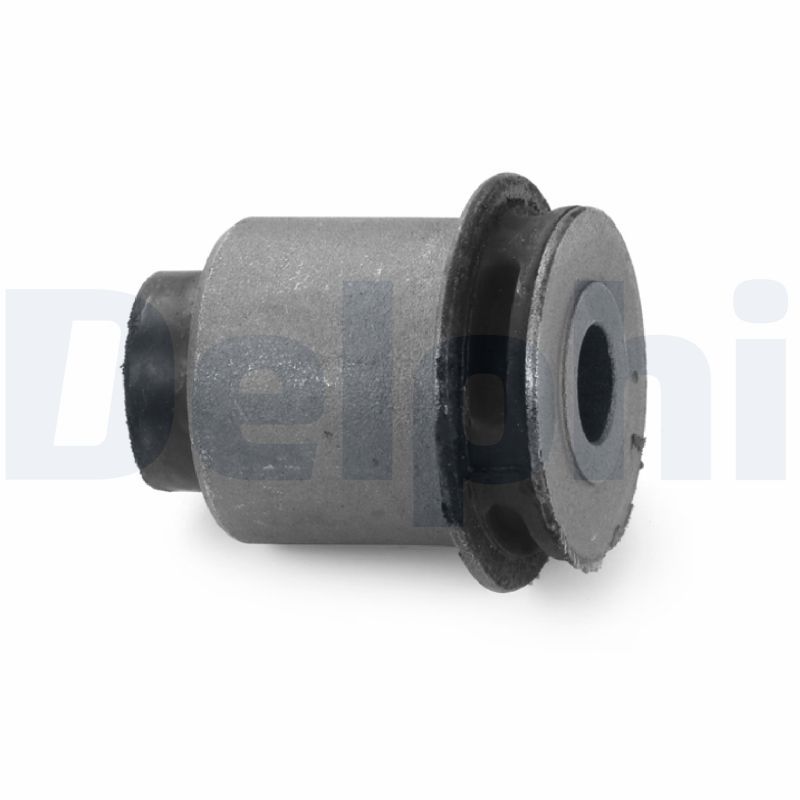 DELPHI TD1747W Mounting, control/trailing arm