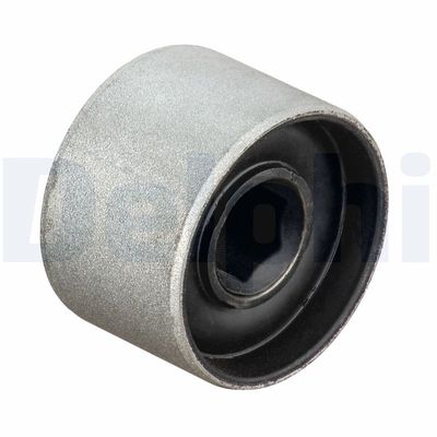 Mounting, control/trailing arm DELPHI TD1791W
