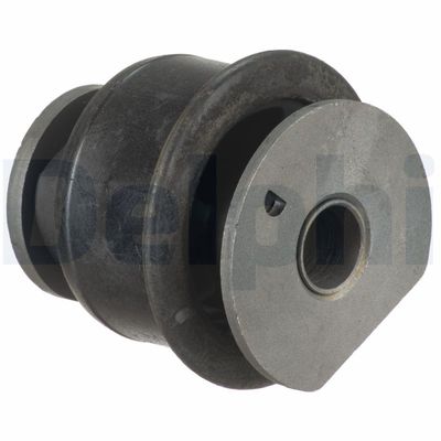 Mounting, control/trailing arm DELPHI TD1825W