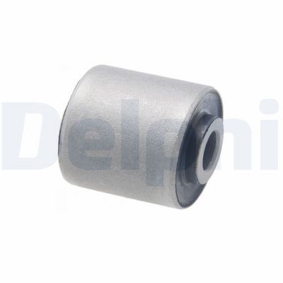 Mounting, control/trailing arm DELPHI TD2067W