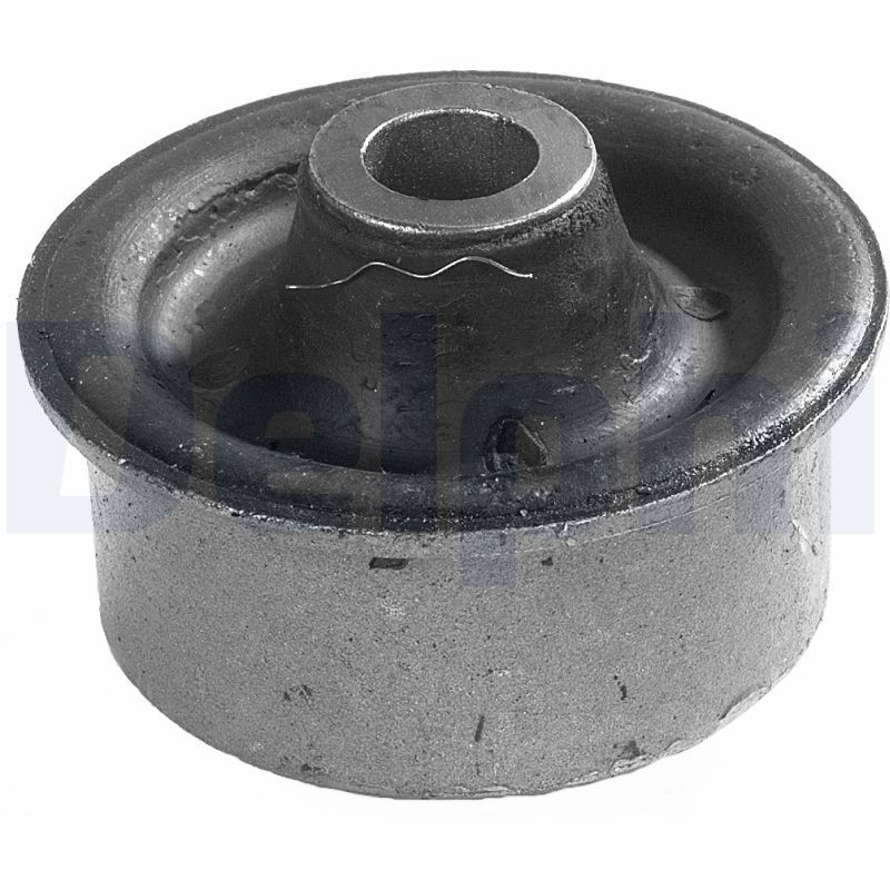 DELPHI TD254W Mounting, control/trailing arm