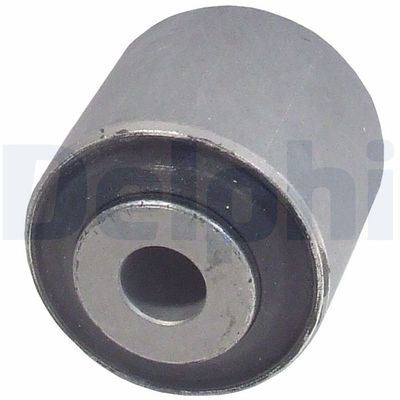 Mounting, control/trailing arm DELPHI TD819W