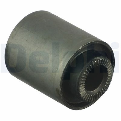 Mounting, control/trailing arm DELPHI TD979W