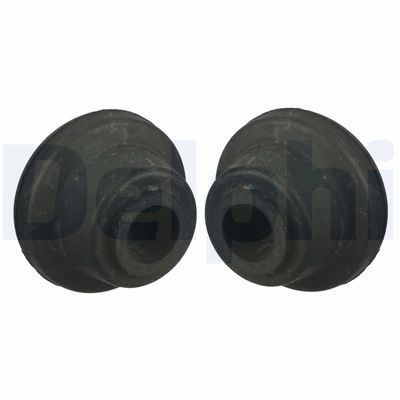 Mounting, control/trailing arm DELPHI TD993W