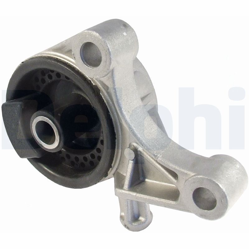 DELPHI TEM006 Mounting, engine