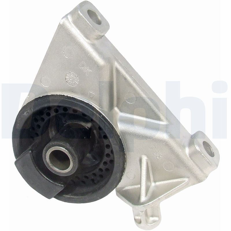 DELPHI TEM010 Mounting, engine