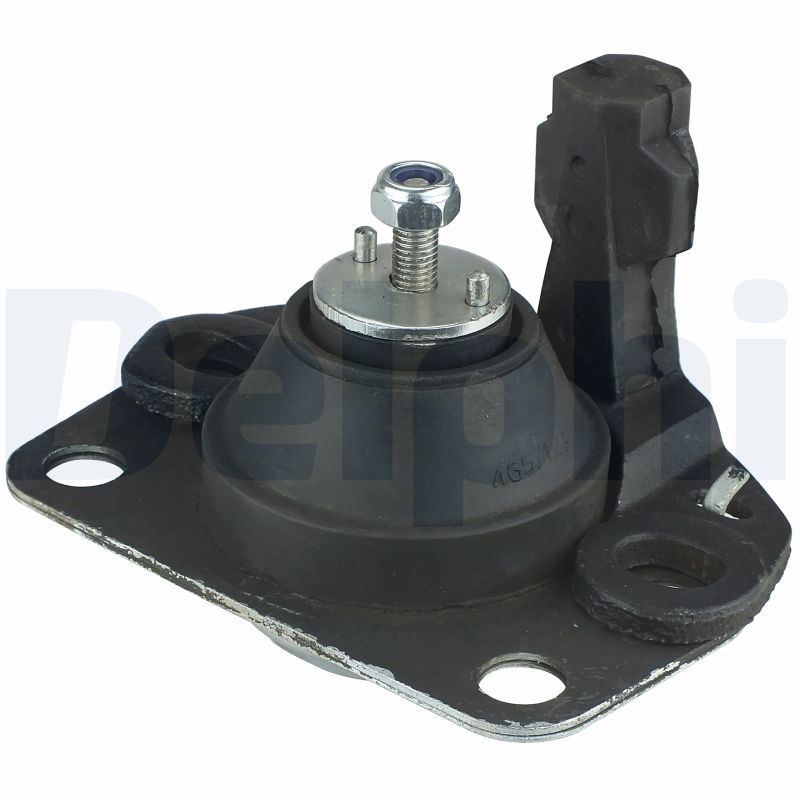 DELPHI TEM038 Mounting, engine