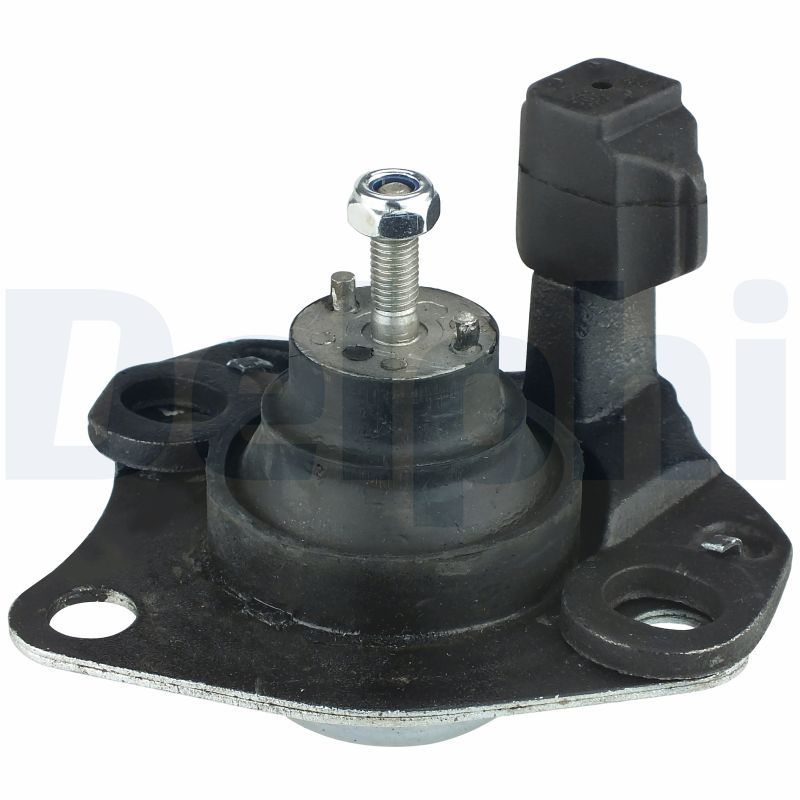 DELPHI TEM039 Mounting, engine
