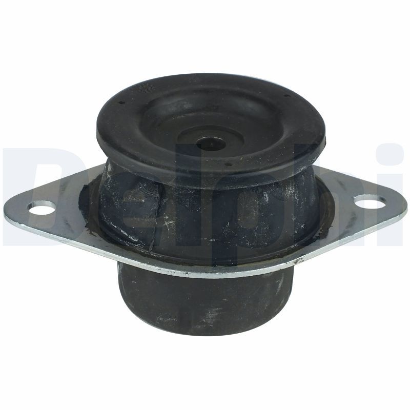 DELPHI TEM041 Mounting, engine