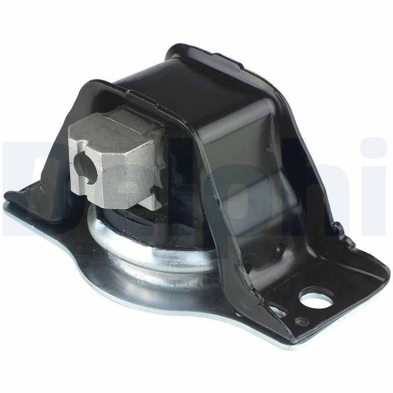 DELPHI TEM042 Mounting, engine