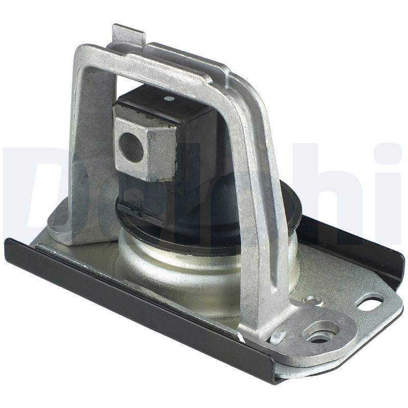 DELPHI TEM043 Mounting, engine