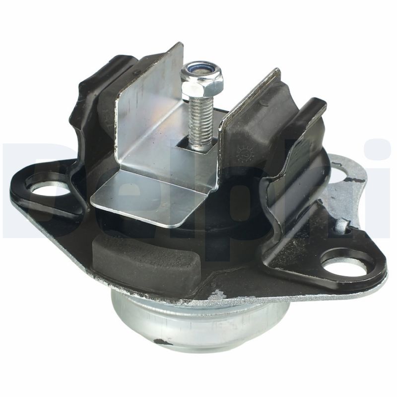 DELPHI TEM048 Mounting, engine