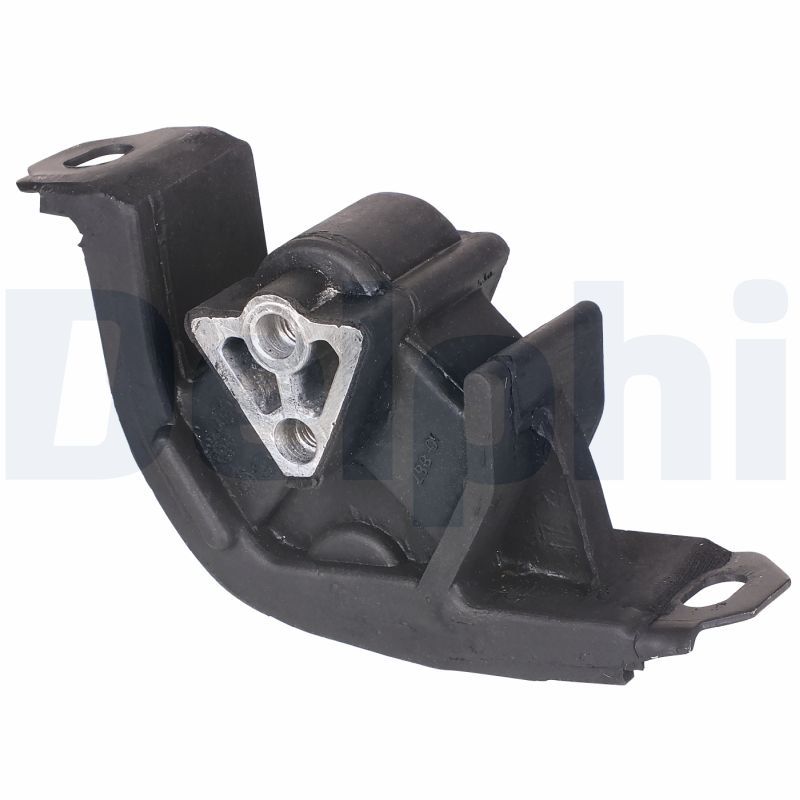 DELPHI TEM060 Mounting, engine