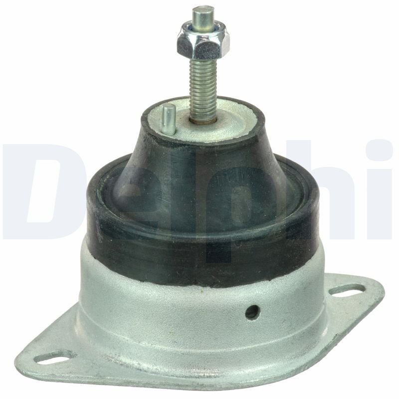 DELPHI TEM078 Mounting, engine