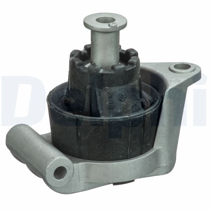 DELPHI TEM091 Mounting, engine