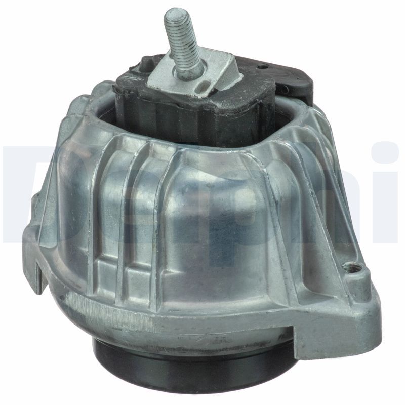 DELPHI TEM100 Mounting, engine
