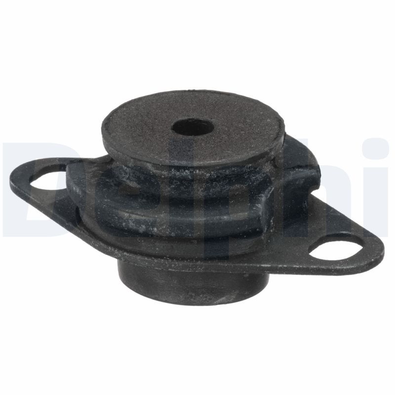 DELPHI TEM109 Mounting, engine