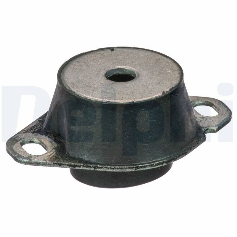 DELPHI TEM111 Mounting, engine