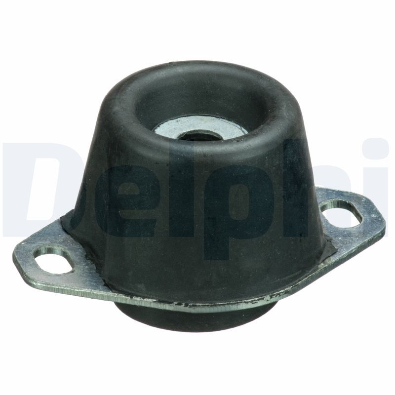 DELPHI TEM114 Mounting, engine
