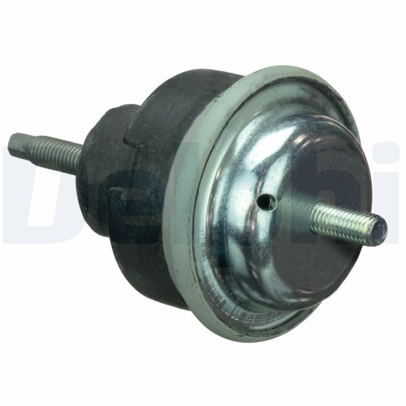 DELPHI TEM115 Mounting, engine